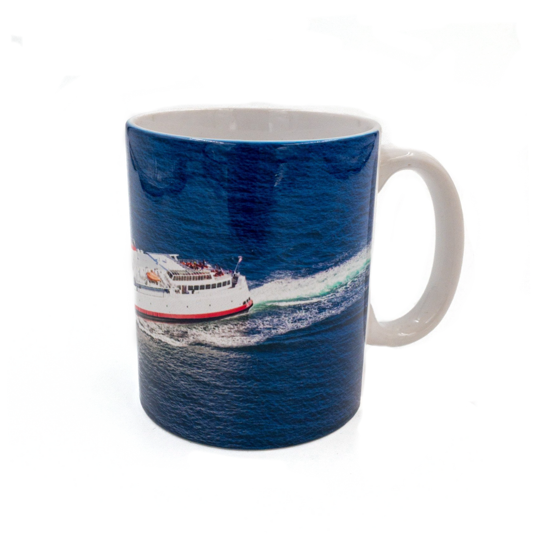 MV COHO aerial mug