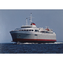 Load image into Gallery viewer, MV COHO postcard front
